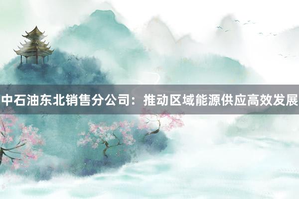 中石油东北销售分公司：推动区域能源供应高效发展